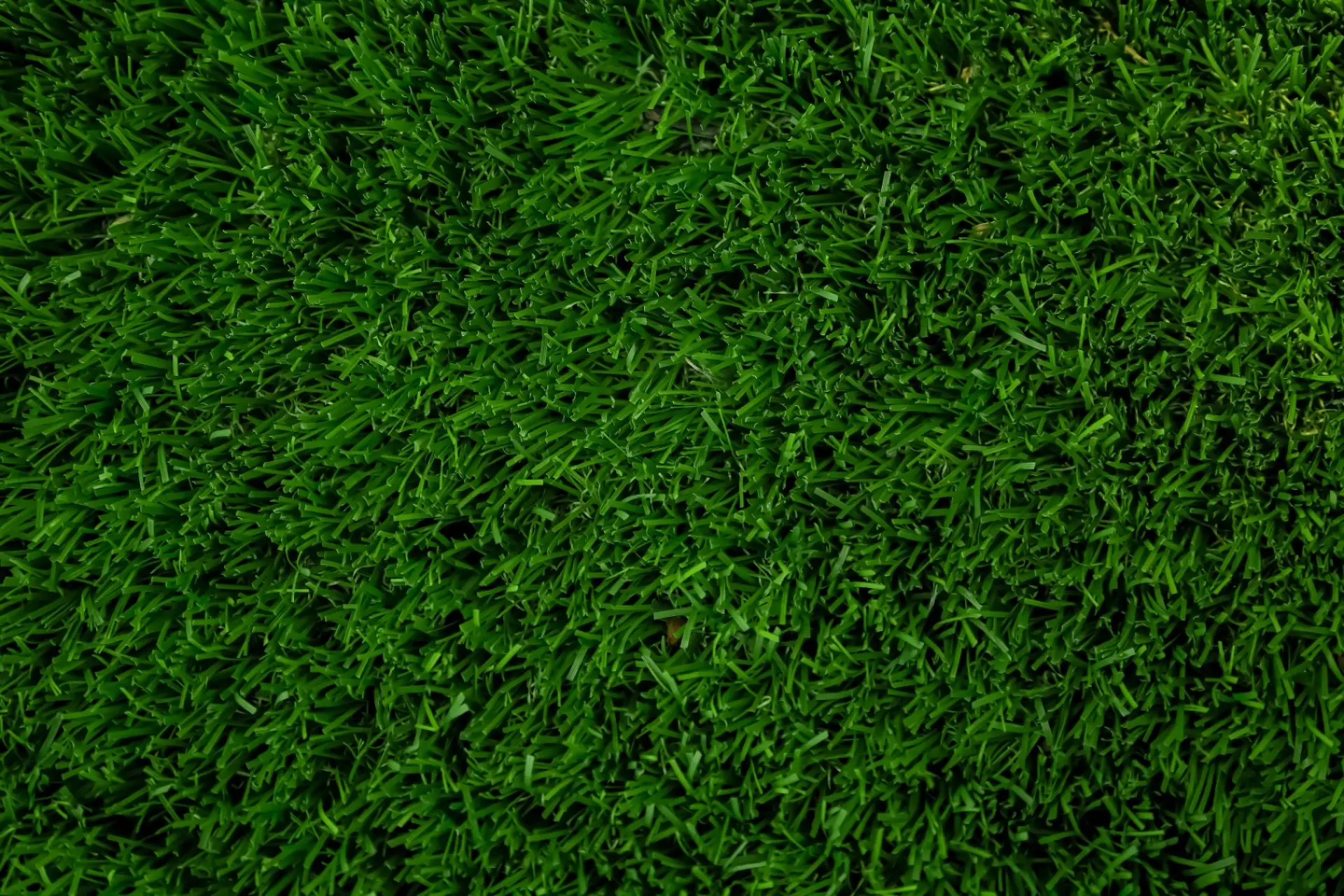 Lawn care background